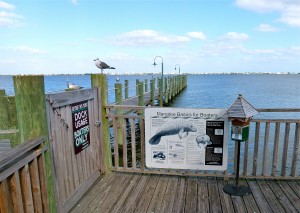 manatee sign Watch for Manatees