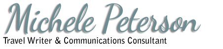 Chameleon Logo
