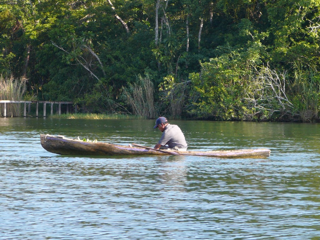 P1050569