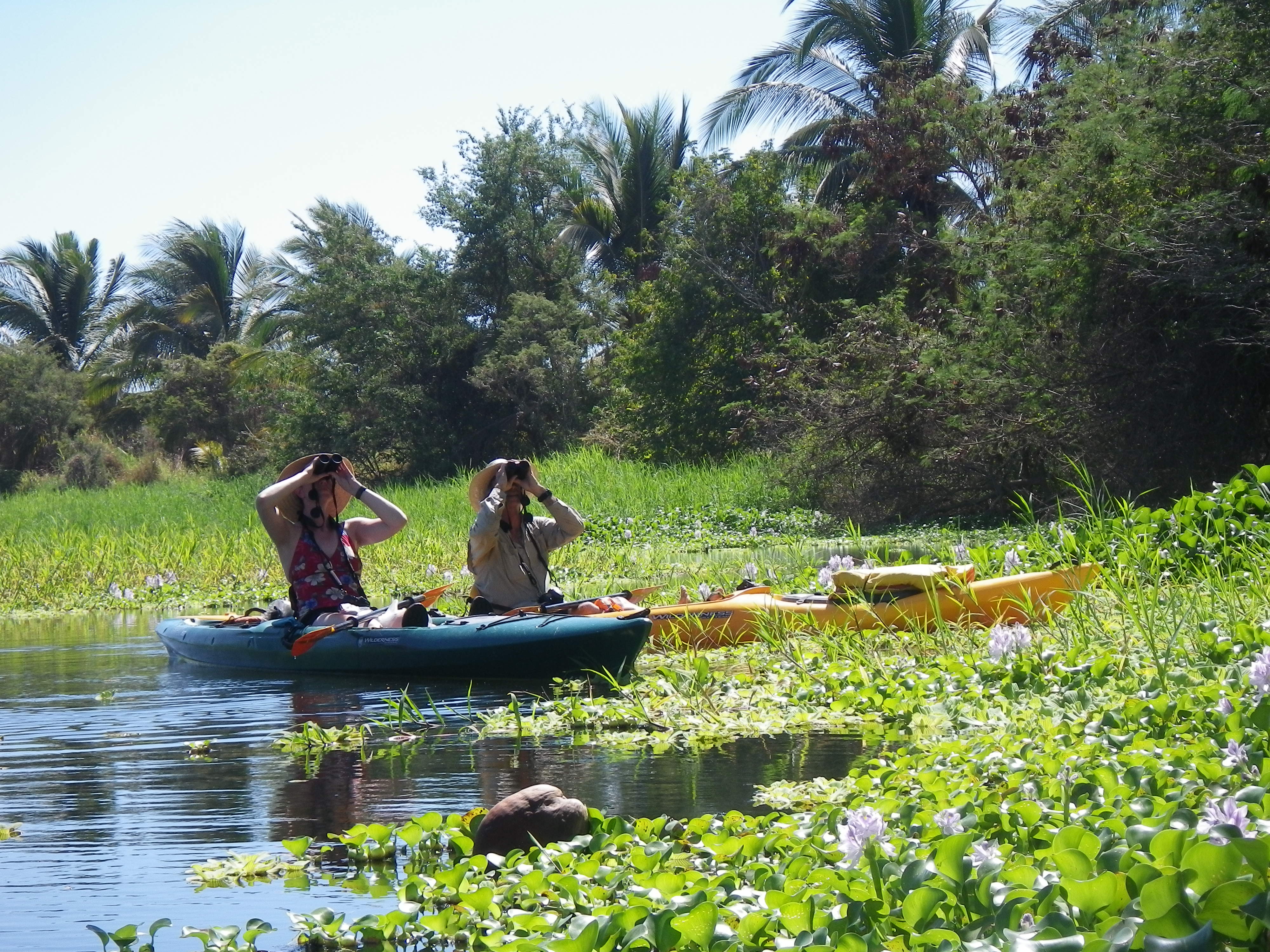 Kayaking Manialtepec Lagoon Credit: Hidden Voyages Eco-tours
